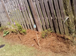 Mulching by Antoine Spears for Lexus H. in Baton Rouge, LA