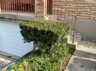 Bush Trimming by Marcus Martin for Rong W. in Cincinnati, OH