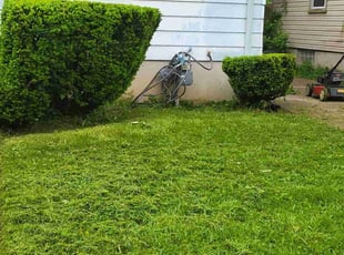 Bush Trimming by Mary Esparza for Lakeisha H. in Detroit, MI