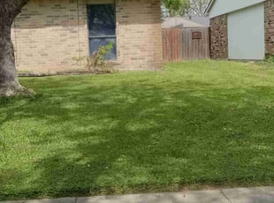 Gwen K.'s Lawn Mowing service result