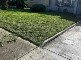 Shauntenette T.'s Grass Cutting service result