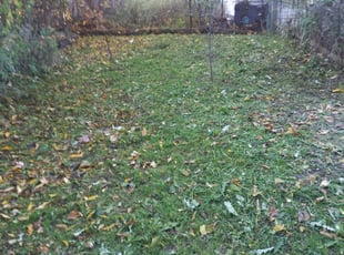 Cleanups by Willie Tisdel for Jae J. in Cleveland, OH