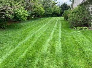 Christina s.'s Lawn Mowing service result