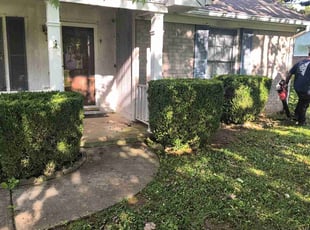 Bush Trimming by Jahi Scott for Robert R. in Harvest, AL