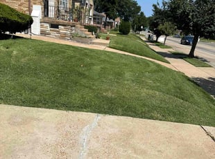 Angela W.'s Lawn Care service result