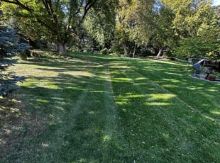 David C.'s Yard Cutting service result