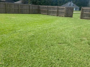 Josef B.'s Lawn Service service result