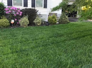 Charles E.'s Lawn Service service result