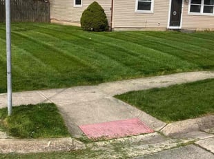 Kate S.'s Lawn Maintenance service result