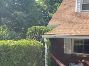 Bush Trimming by Brandon Morris for Ting Z. in Pittsburgh, PA