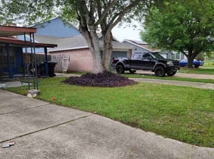 Eriq H.'s Lawn Mowing Service service result