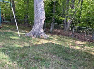 Leaf Removal by Walter Gutierrez for Andrea C. in Woodbridge, VA