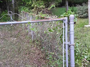 Bush Trimming by Jerry Gross Jr for Bryant A. in Atlanta, GA