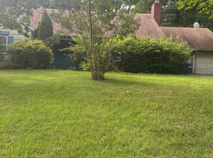Bush Trimming by Victor Ekunseitan for Trei M. in Laurel, MD