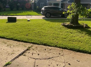 Jennifer M.'s Lawn Care service result