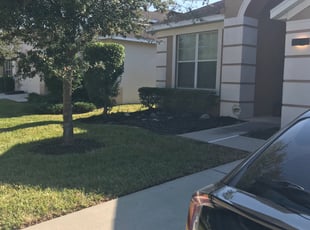 Bush Trimming by William Chavers for Andy M. in Riverview, FL