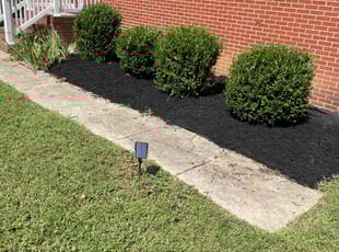 Bush Trimming by Katorious Nelson for Cynthia L. in Fredericksburg, VA