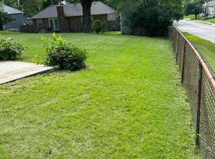 Stacy M.'s Lawn Care service result