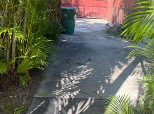 Bush Trimming by Deonte Deas for Leon G. in Dania Beach, FL