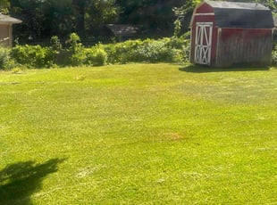 Michael P.'s Lawn Mowing service result