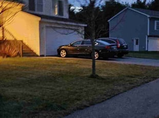 Irene S.'s Lawn Care service result