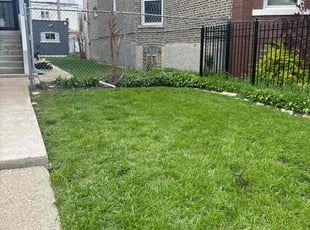 Martha C.'s Lawn Maintenance service result