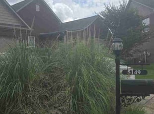 Cleanups by Douglas McClelland for Harold j. in Bessemer, AL