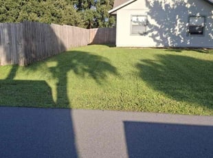 Cynthia S.'s Lawn Maintenance service result