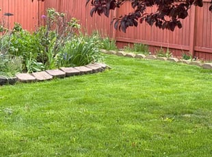 Marilyn N.'s Lawn Mowing service result