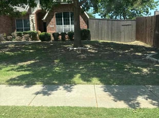 Weeding by Dusty Posey for cheri R. in Denton, TX