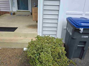 Bush Trimming by Will Heart for Chang H. in Centreville, VA