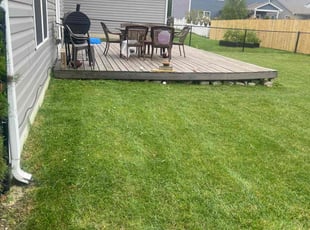 Shomari F.'s Yard Cutting service result
