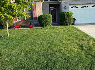 Bush Trimming by Eric Everson for Betty W. in Avon, IN