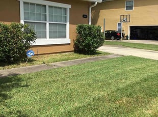 Bush Trimming by Vee Primus for Monica C. in Jacksonville, FL