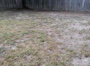 Leaf Removal by Rob Burland for Timothy P. in Newport News, VA