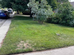 Leaf Removal by Cory York for Jill S. in Englewood, CO