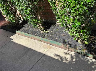 Weeding by Estuardo Rabanales for Nick P. in North Richland Hills, TX