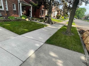 Ronald C.'s Lawn Care service result