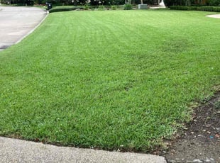 Sandra T.'s Yard Cutting service result