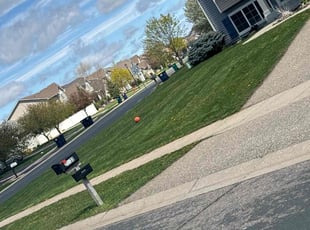 Mark P.'s Lawn Service service result