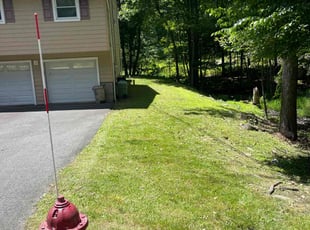 Marleny A.'s Lawn Service service result