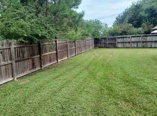 Thomas S.'s Lawn Care service result