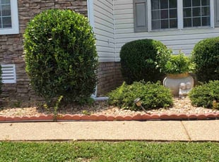 Bush Trimming by Rohan James for Avelina K. in Chester, VA