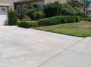 Bush Trimming by Ophelia Pratt for Matt S. in Fresno, CA