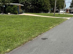 Wyley D.'s Lawn Service service result