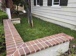 Sasha M.'s Lawn Mowing service result