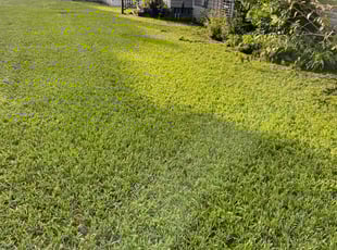 Michael S.'s Lawn Care service result