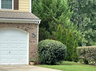 Bush Trimming by Latonya Talley for Wyman M. in Douglasville, GA