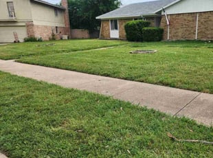 Cleanups by Bonnie Amador for Leo L. in Richardson, TX