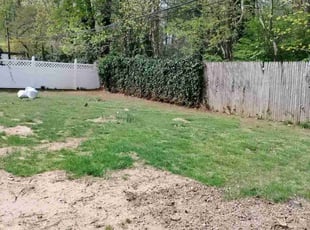 Leaf Removal by Michael Iannotta for James F. in Commack, NY